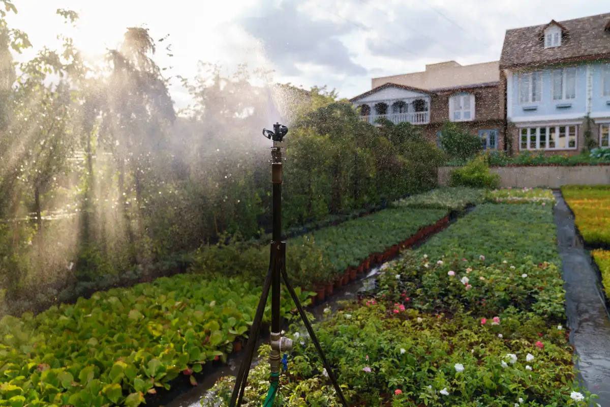 Smart Irrigation Controllers: Save Water and Money with These Top Systems